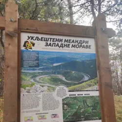 Ovčar-Kablar Gorge - Cacak