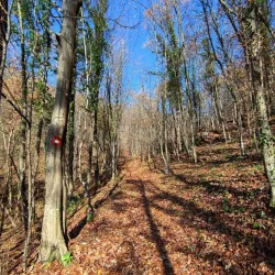 Ovčar-Kablar Gorge - Cacak