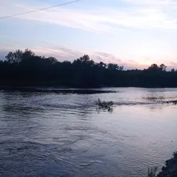 Great Morava River - Cuprija