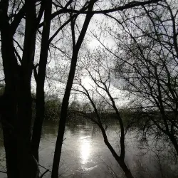 Great Morava River - Cuprija