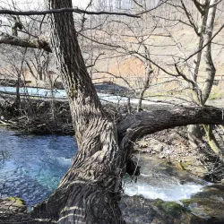 Resava River - Despotovac