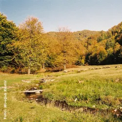 Resava River - Despotovac