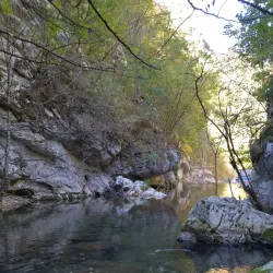 Resava River - Despotovac