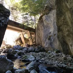 Resava River - Despotovac