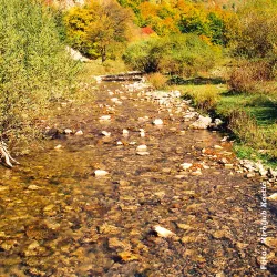 Resava River - Despotovac