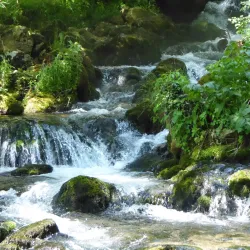 Veliki Buk Waterfall - Despotovac