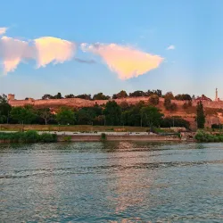 Danube River Excursions - Indjija