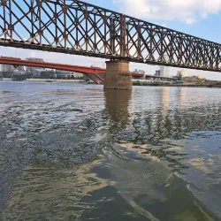 Danube River Excursions - Indjija