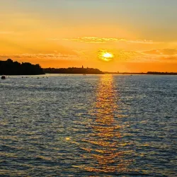 Danube River Excursions - Indjija