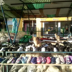 Local Market of Indjija - Indjija