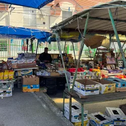 Local Market of Indjija - Indjija