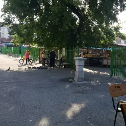 Local Market of Indjija - Indjija