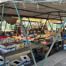 Local Market of Indjija - Indjija