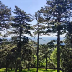 Monument to the Fallen Soldiers - Indjija