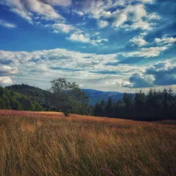 Golija Nature Park - Ivanjica