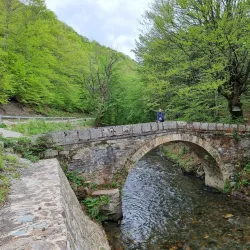 Golija Nature Park - Ivanjica