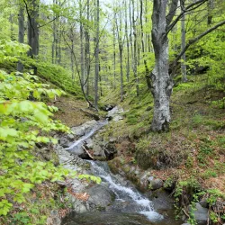 Golija Nature Park - Ivanjica