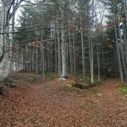 Jelovica Mountain - Ivanjica