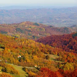 Jelovica Mountain - Ivanjica