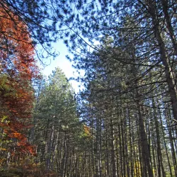 Jelovica Mountain - Ivanjica