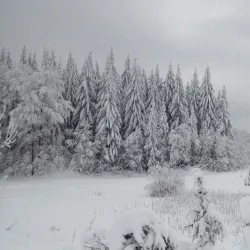 Jelovica Mountain - Ivanjica