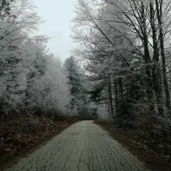 Jelovica Mountain - Ivanjica