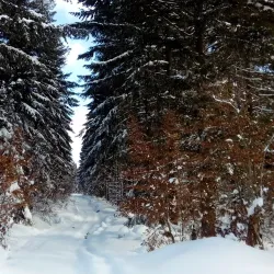 Jelovica Mountain - Ivanjica