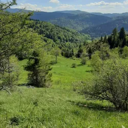 Moravica River - Ivanjica