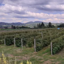 Moravica River - Ivanjica