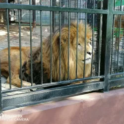 Jagodina Zoo - Jagodina