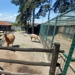 Jagodina Zoo - Jagodina