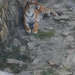 Jagodina Zoo - Jagodina