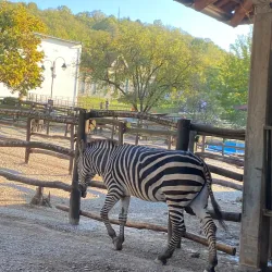 Jagodina Zoo - Jagodina