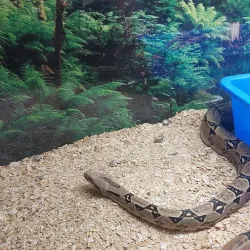 Jagodina Zoo - Jagodina