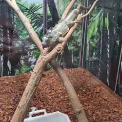 Jagodina Zoo - Jagodina