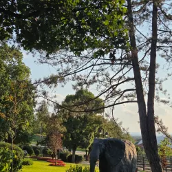 Jagodina Zoo - Jagodina