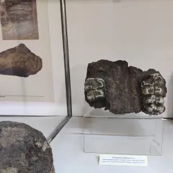 National Museum Jagodina - Jagodina