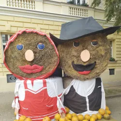 Kikinda City Hall - Kikinda