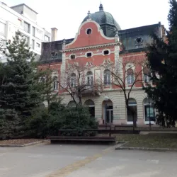 Kikinda City Hall - Kikinda
