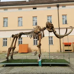 Kikinda Cultural Center - Kikinda