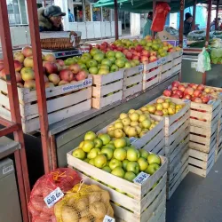 Kikinda Market - Kikinda