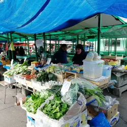 Kikinda Market - Kikinda