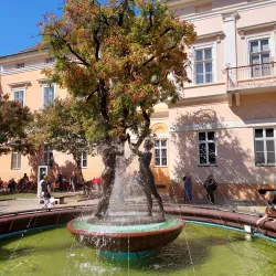 Kikinda Museum - Kikinda