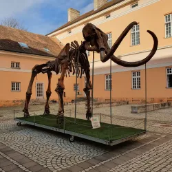 Kikinda Museum - Kikinda