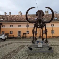 Kikinda Museum - Kikinda