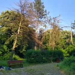 Monument to the Fallen Soldiers - Kikinda