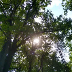 Monument to the Fallen Soldiers - Kikinda