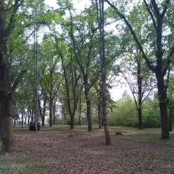 Monument to the Fallen Soldiers - Kikinda