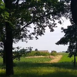 Monument to the Fallen Soldiers - Kikinda
