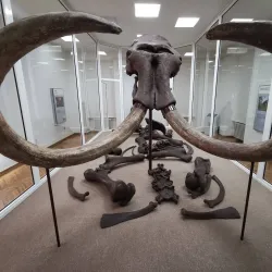 Paleontological Site of Mokrin - Kikinda